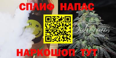 сатива Наро-Фоминск
