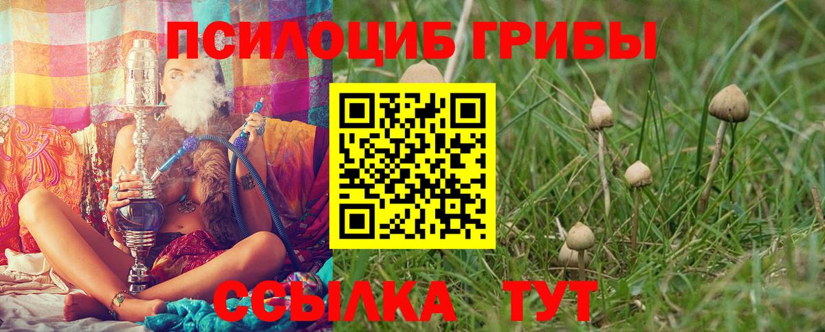 Галлюциногенные грибы MAGIC MUSHROOMS Геленджик