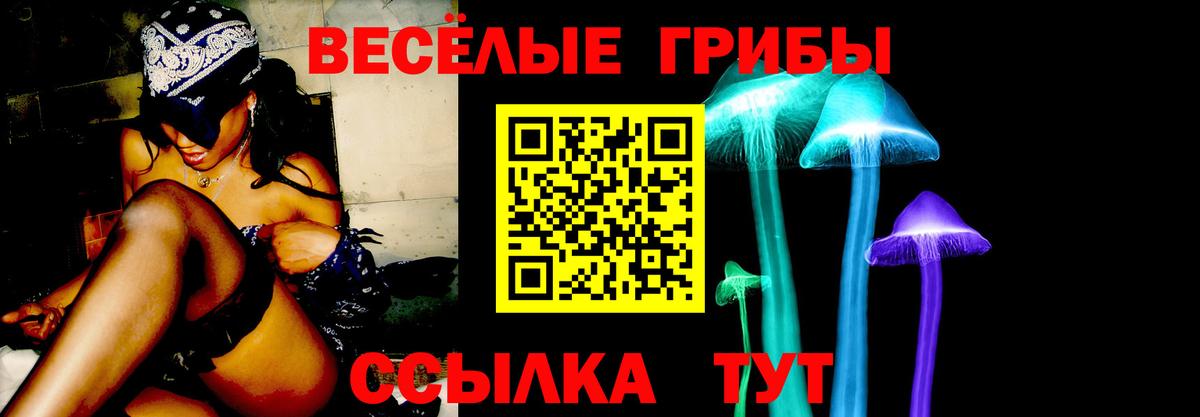 Геленджик  Галлюциногенные грибы прущие грибы  Вход с VPN 